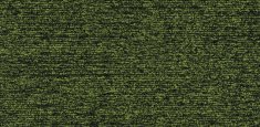 22211 spruce