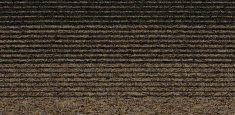 18804 earth