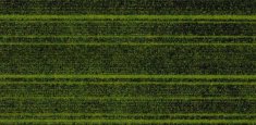 12902 lime zest