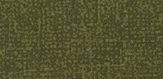 s246021 Metro Moss