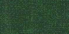 s246022 Metro Evergreen
