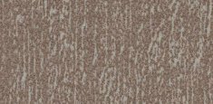s445025 Canyon Earth