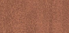 s482019 Penang Ginger