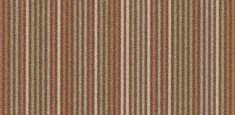 t550010, t553010* Straw
