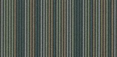 t550008 Forest