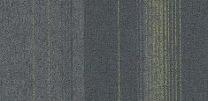 2802 Tavertine