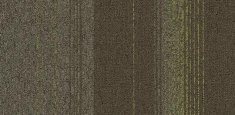 2805 Olivaceous