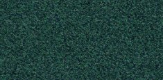 6445 verdant star