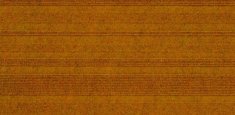 1887 gold quest