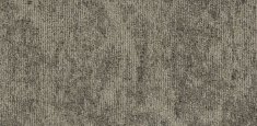 22802 sesame