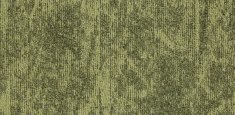 22810 matcha