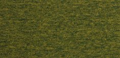 120202 bermuda lime