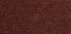 20604 sardinian coral