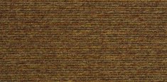 20606 baltic amber