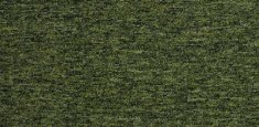 20201 guyana moss