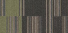 t570004 Fossil