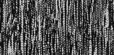 980511 Tweedy Monochrome