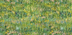 941 Patch of Grass