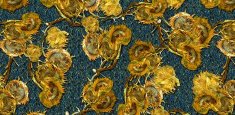 940 Sunflowers