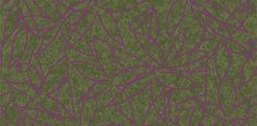 500011 Field Juniper