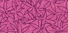 500026 Field Berry