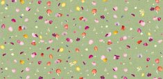 670003 Floret Orchid