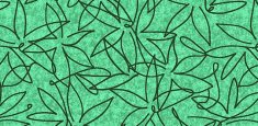 500023 Field Tarragon