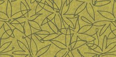 500024 Field Lime
