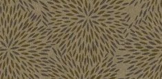 660003 Firework Flax
