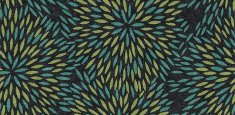 660008 Firework Monsoon