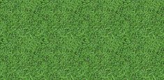 000430 Shamrock 