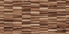 010009 Linear Elm
