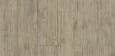 010039 European White Wood