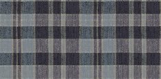 590014 Plaid Denim
