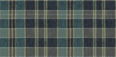 590020 Plaid Seagrass