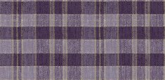 590013 Plaid Berry