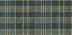 590023 Plaid Fern