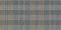 590018 Plaid Steam