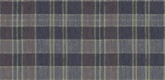 590021 Plaid Iris