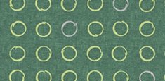 530027 Spin Tarragon