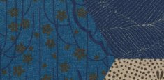 200002 Vision Ecosystems kimono blue