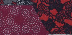 200003 Vision Ecosystems kimono red