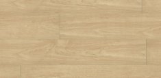 0335 Sycamore