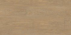 0258 Muir Oak
