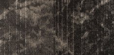 Dawn 14M
