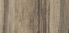 0725 Sycamore Light Brown