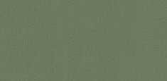 0842 Olive