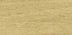 0024 Chamois