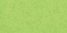 4527 Bamboo