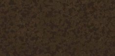 8073 Cocoa
